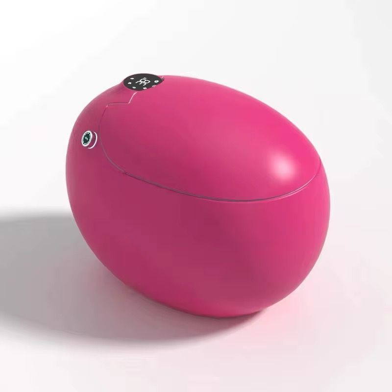 Smart Bidet Toilet, Egg-Shaped Ceramic