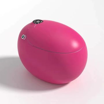Smart Bidet Toilet, Egg-Shaped Ceramic