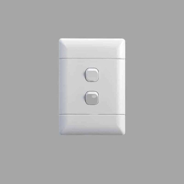 Econo Range 4X2 2 Lever Switch