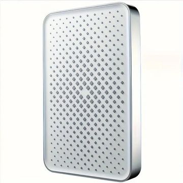 Super-sized Silver Shower Head