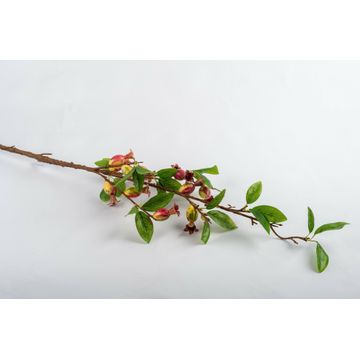 Granites Stem Small