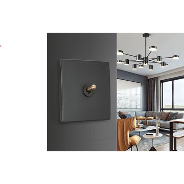 Classic Grey with Brass Toggle, 1 Lever