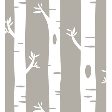 Kids Wallpaper – Birch Tree – Khaki