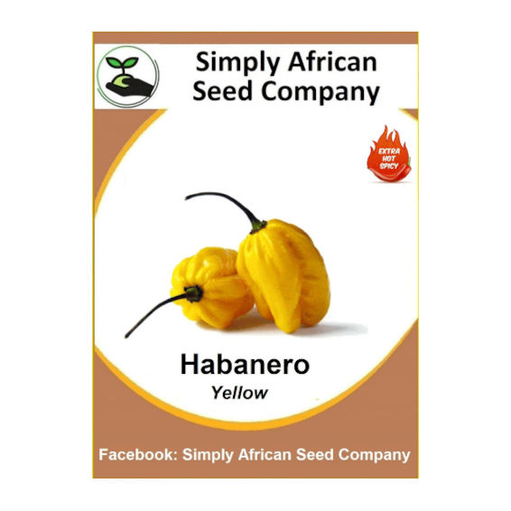 Habanero Yellow (20's)
