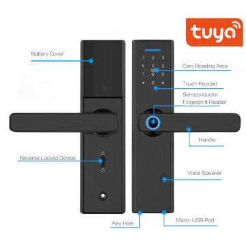 Smart WIFI Door Lock Tuya