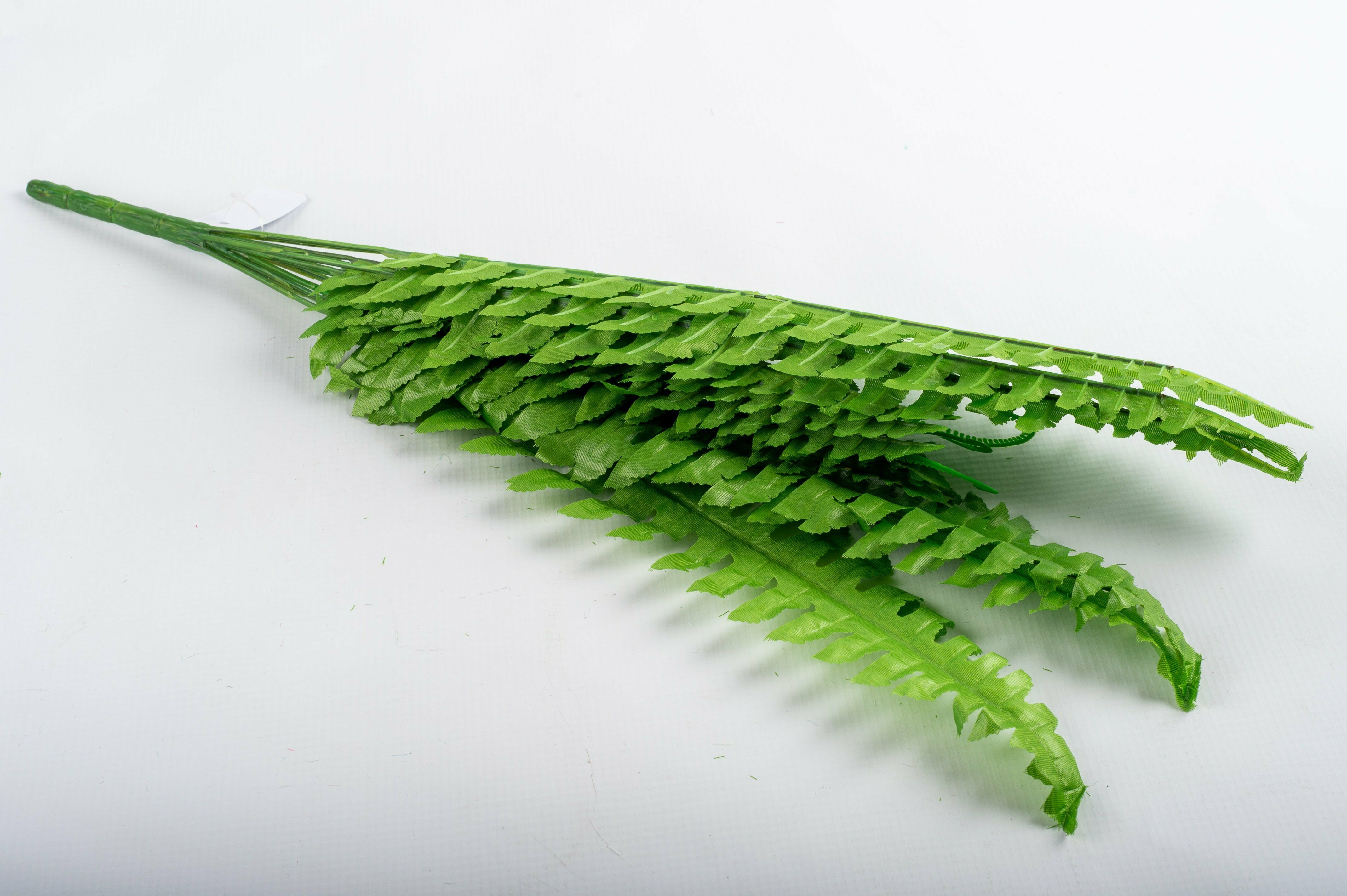 Fern 60Cm