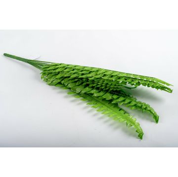 Fern 60Cm