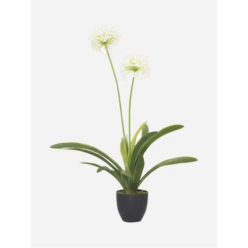 Faux Narcissus with 2 Flowers in Plastic Pot – Artificial Indoor Plant 105cm