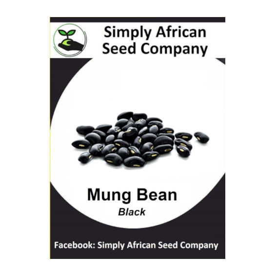 Beans Mung Black 30's