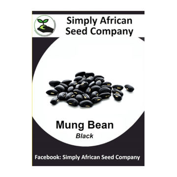Beans Mung Black 30's