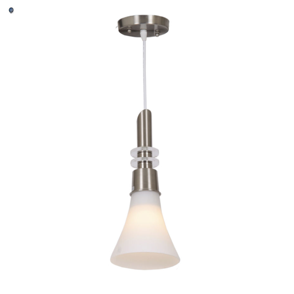 Satin Chrome Pendant with Clear Glass