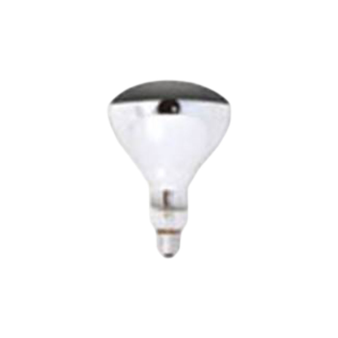 Salvadore Infrared Globe 175W