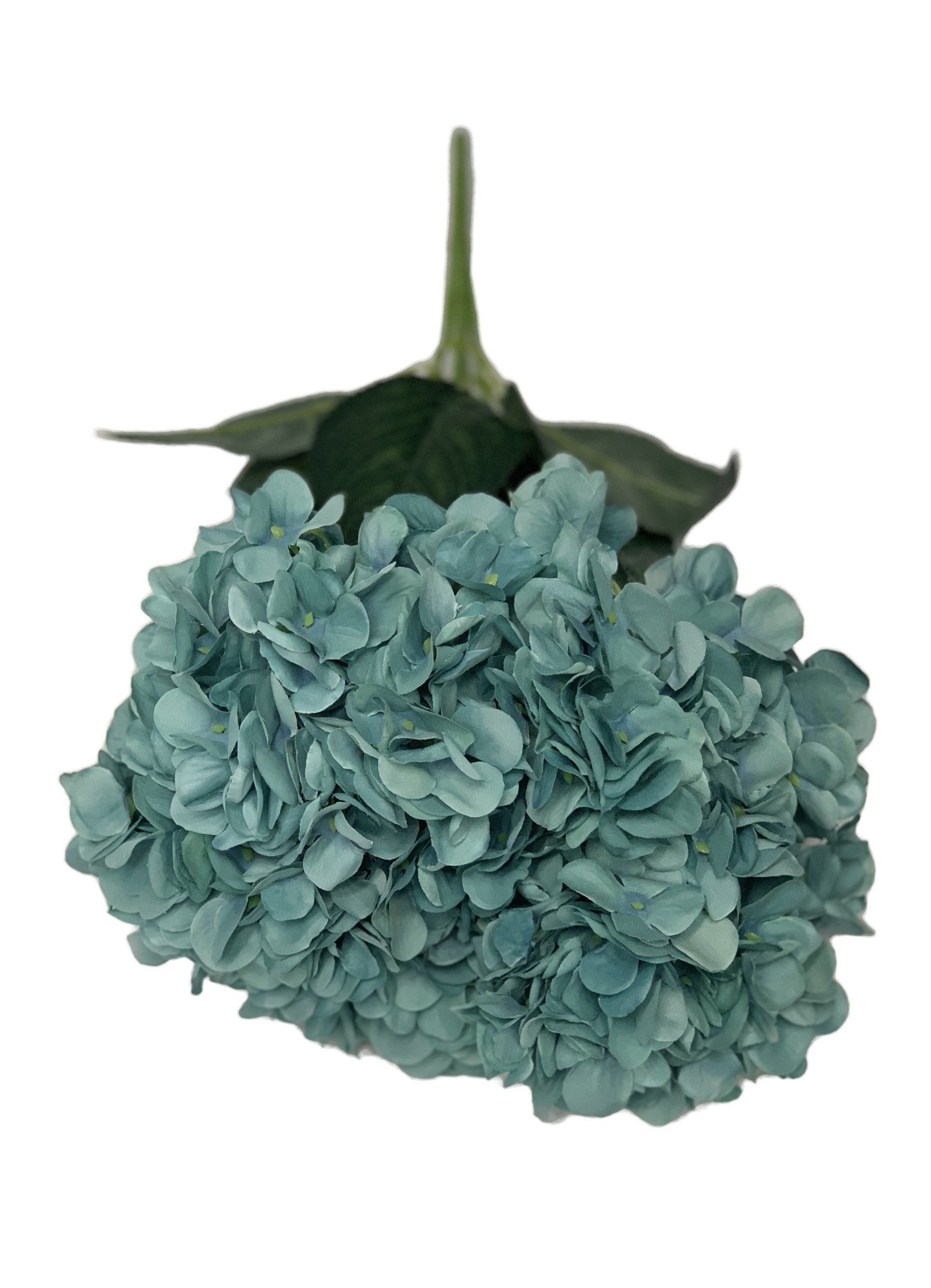 Hydrangea Turquoise 48Cm