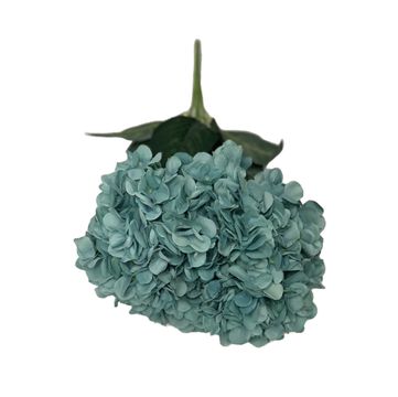 Hydrangea Turquoise 48Cm