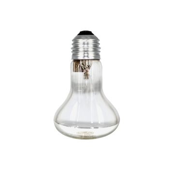 Anvil 100W Globe Screw-In Mirror Back