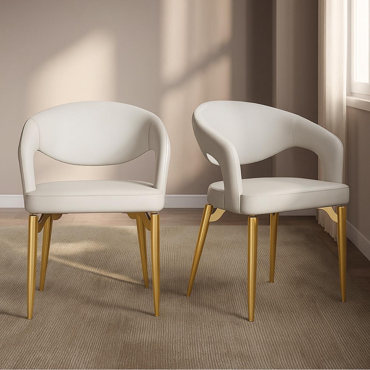ASHER- Set of 2 Lumière Dining Chairs