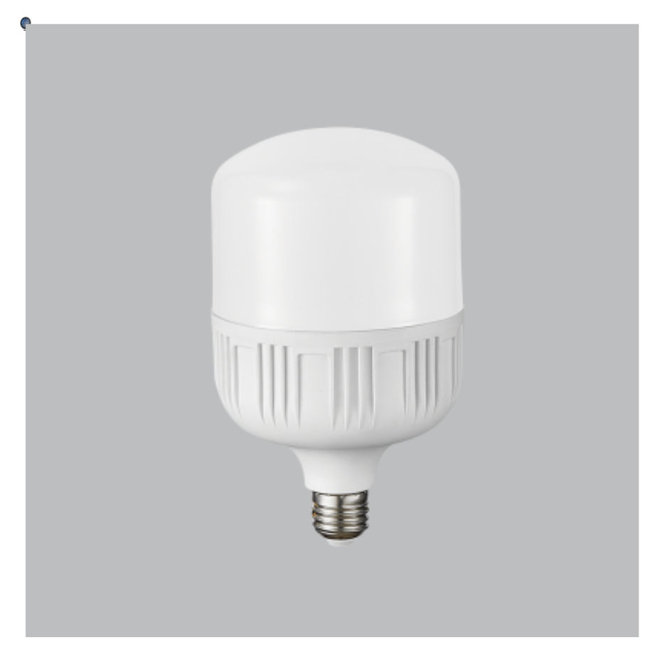 9W LED Bulb T Globe