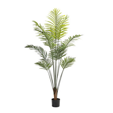 Palm Plant in Pot - 160cm Artificial