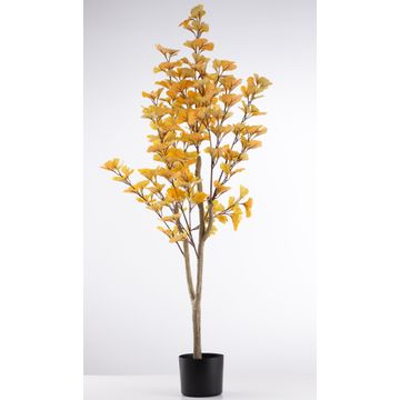 Artificial Premium Ginko Tree - 1350mm