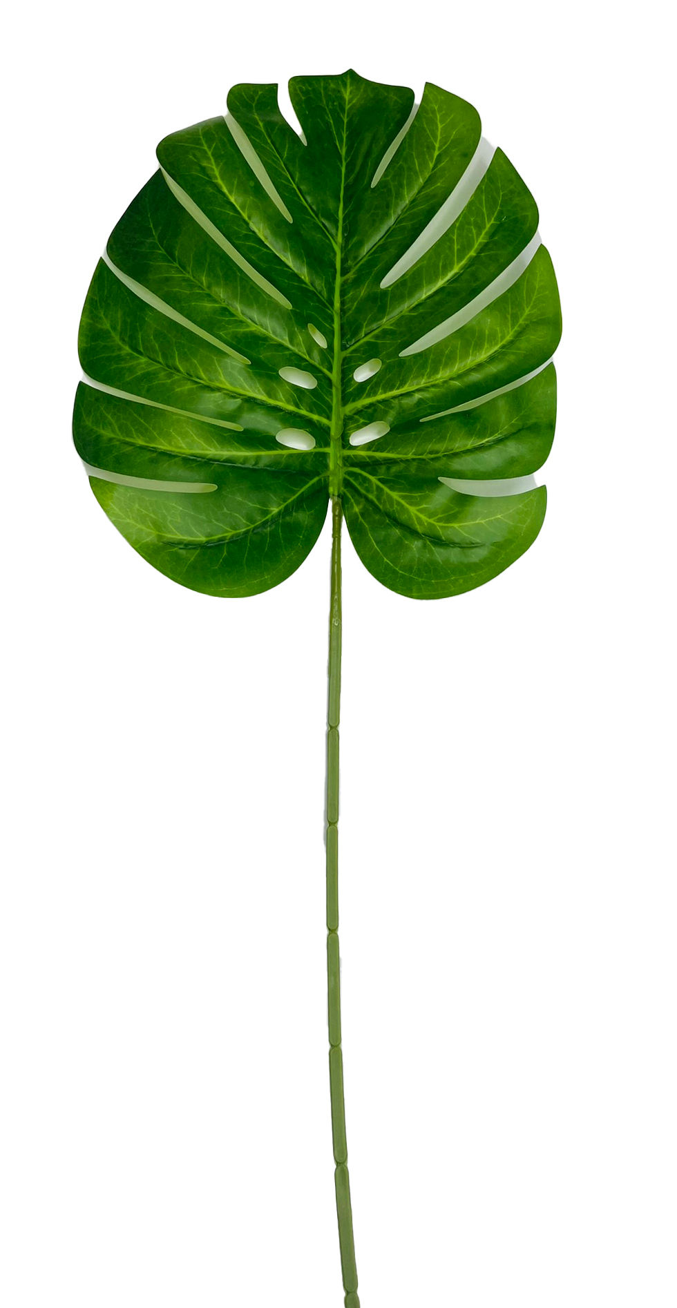 Dark Leaf 60Cm