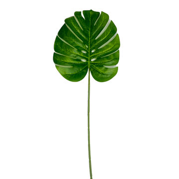 Dark Leaf 60Cm