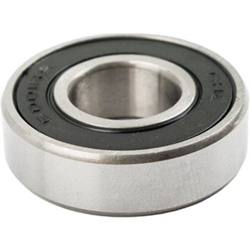 Polisher Bearing 6001 For Pol05