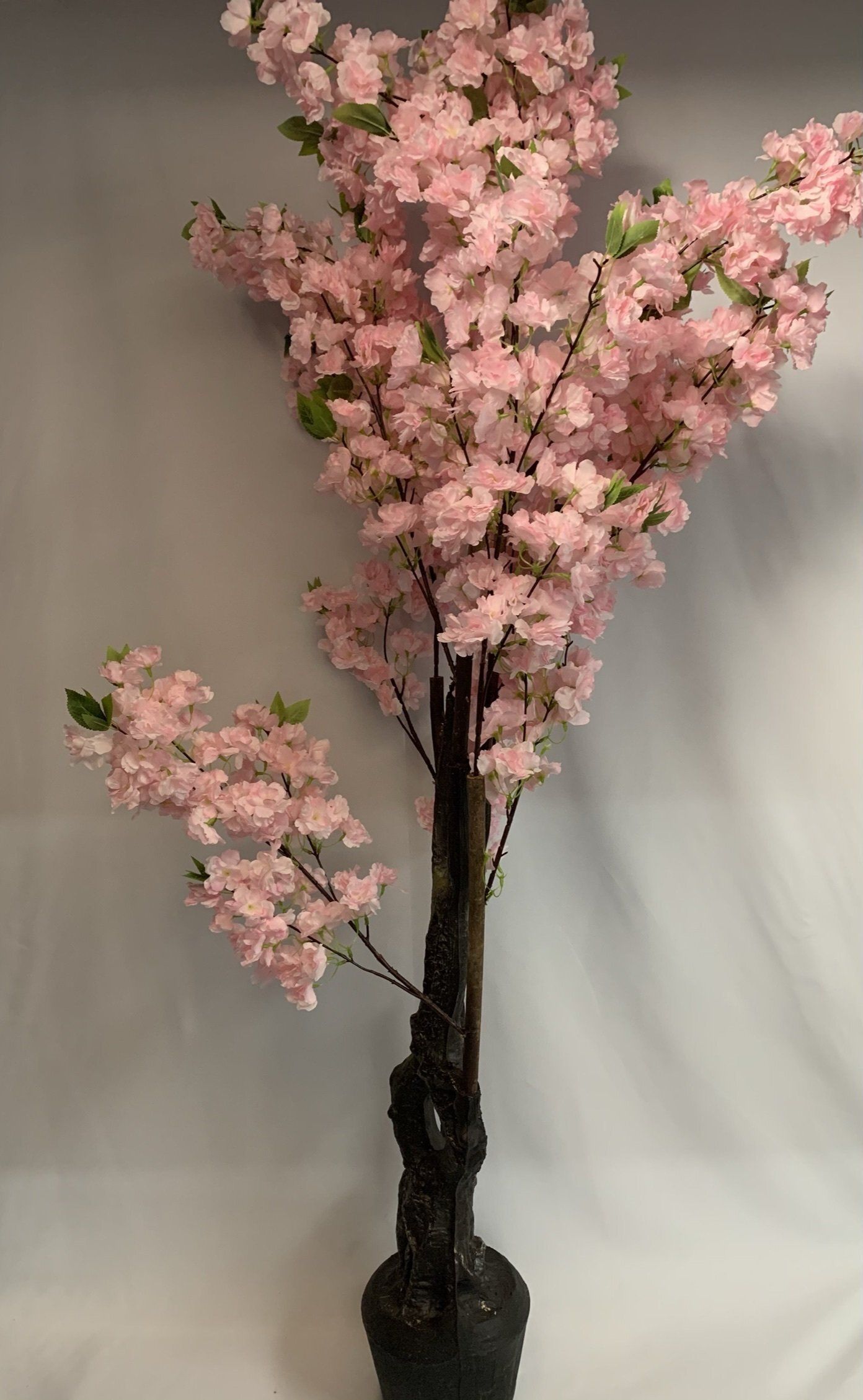 Cherry Blossom Pink 1.7M