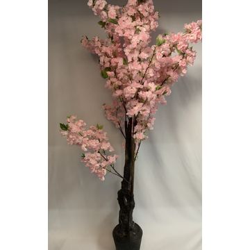 Cherry Blossom Pink 1.7M