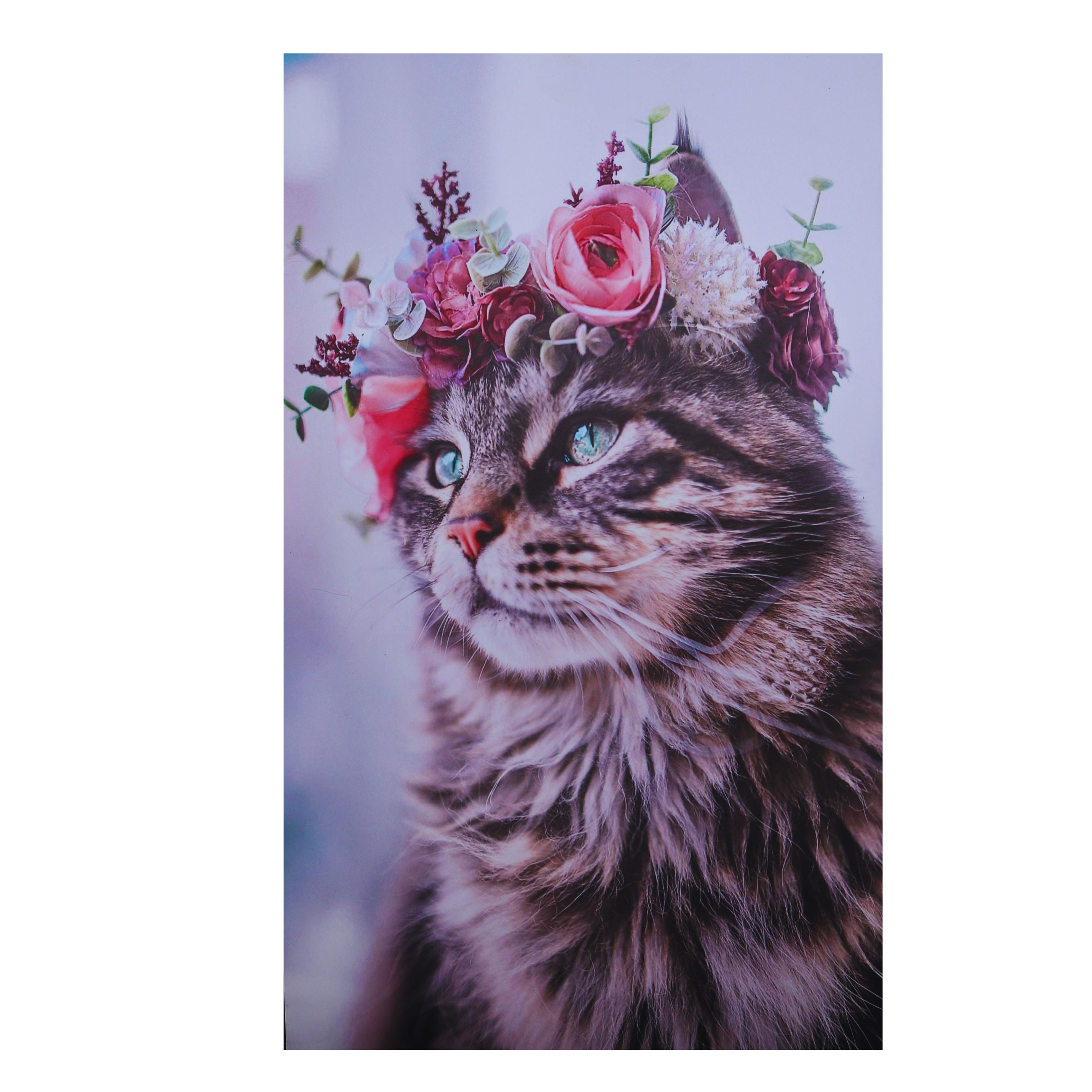 Heart Warming Wood Pressed Kitten Wall Art 48cm x 30cm