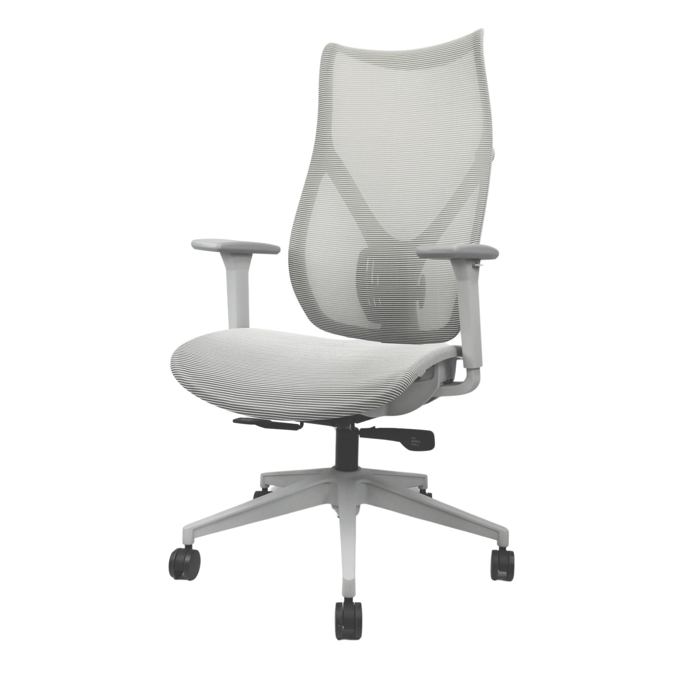Chi Ergonomic Office Chair: Soleil - High-Back - Dawn