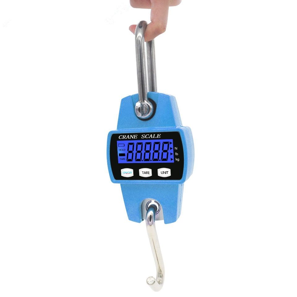 300kg Portable Crane Scale