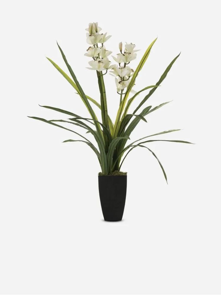 Cymbidium Orchid White in Black Pot – Faux Indoor Plant 90cm