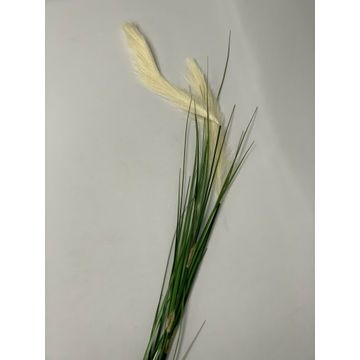 Reed Grass Stem