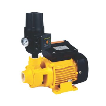 Pro-Pumps 0.37 KW Peripheral Pump + Controller