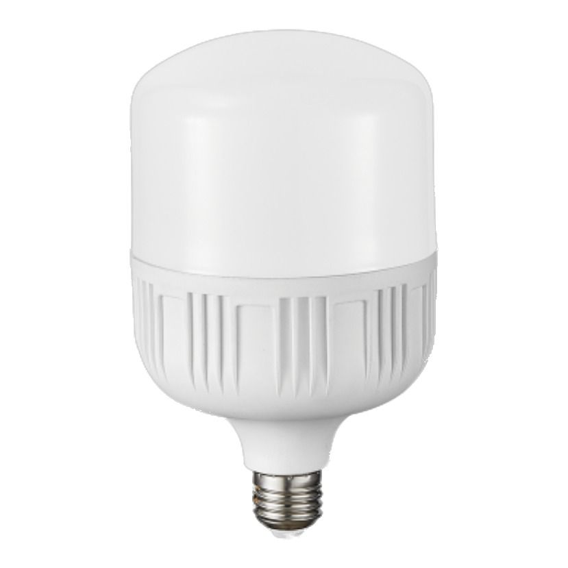 24W LED Bulb T Globe