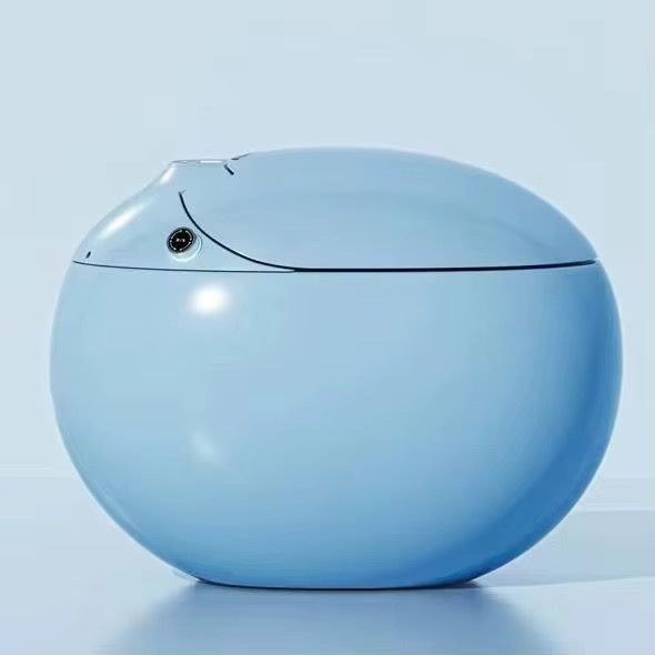 Smart Bidet Toilet, Egg-Shaped Ceramic