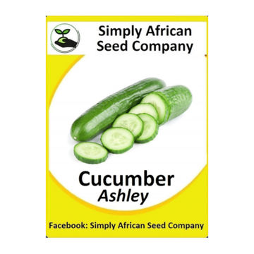 Cucumber Ashley (15's)