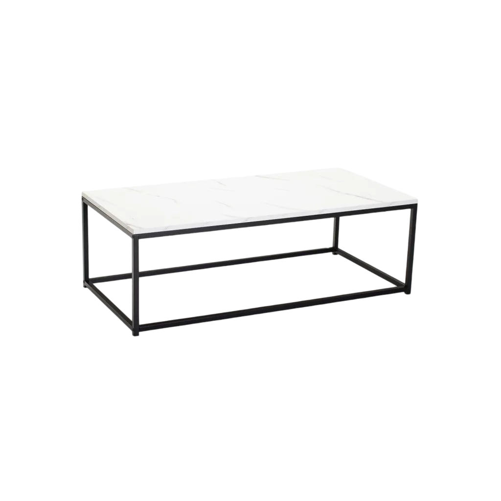 Vividitto - Siya 120x60cm Coffee Table - White Marble