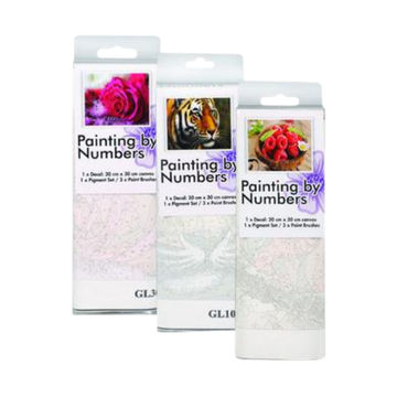 Art and Craft Paint-By-Numbers 20cm x 30cm asstd - 3pack