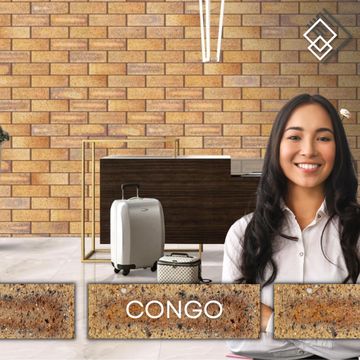 Congo Brick Tiles (1m2/box)