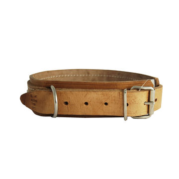 Dog Collar Stud - Bull Dog - 45 X 750mm