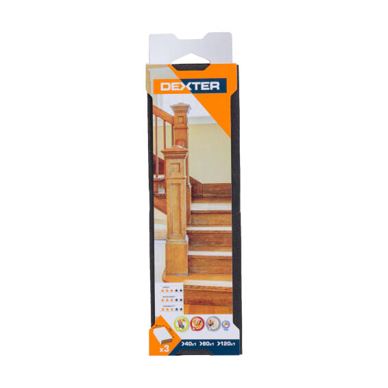 Sponge block lrg G40G80G120 DEXTER 225x70mm