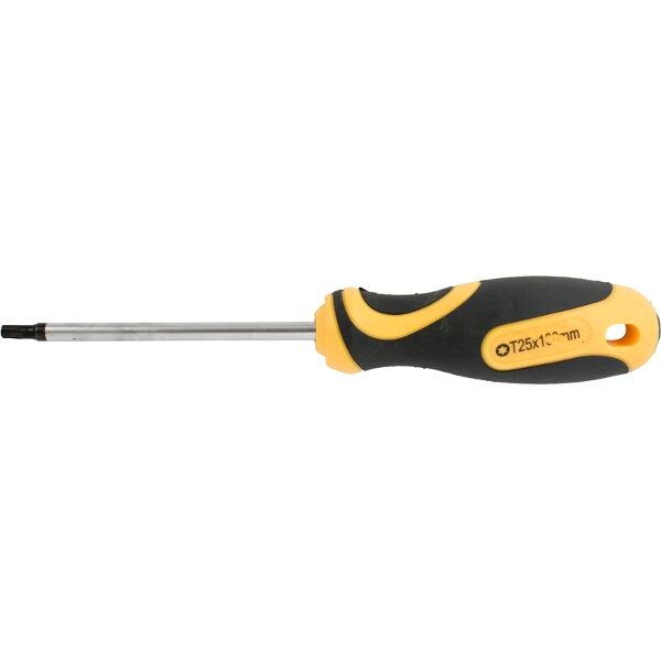 Screwdriver Torx Tamper Proof T25 6X100Mm