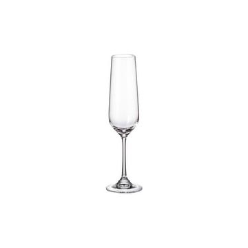 STRIX - Crystal Champagne Flute 200ml - Set of 6