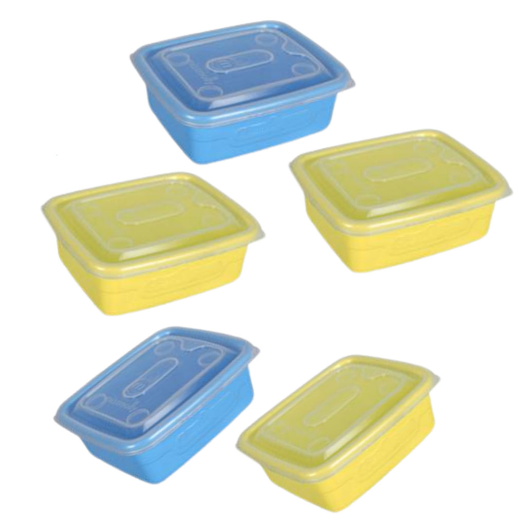 Container Foodsaver 200ml ROYAL asstd - 5pack