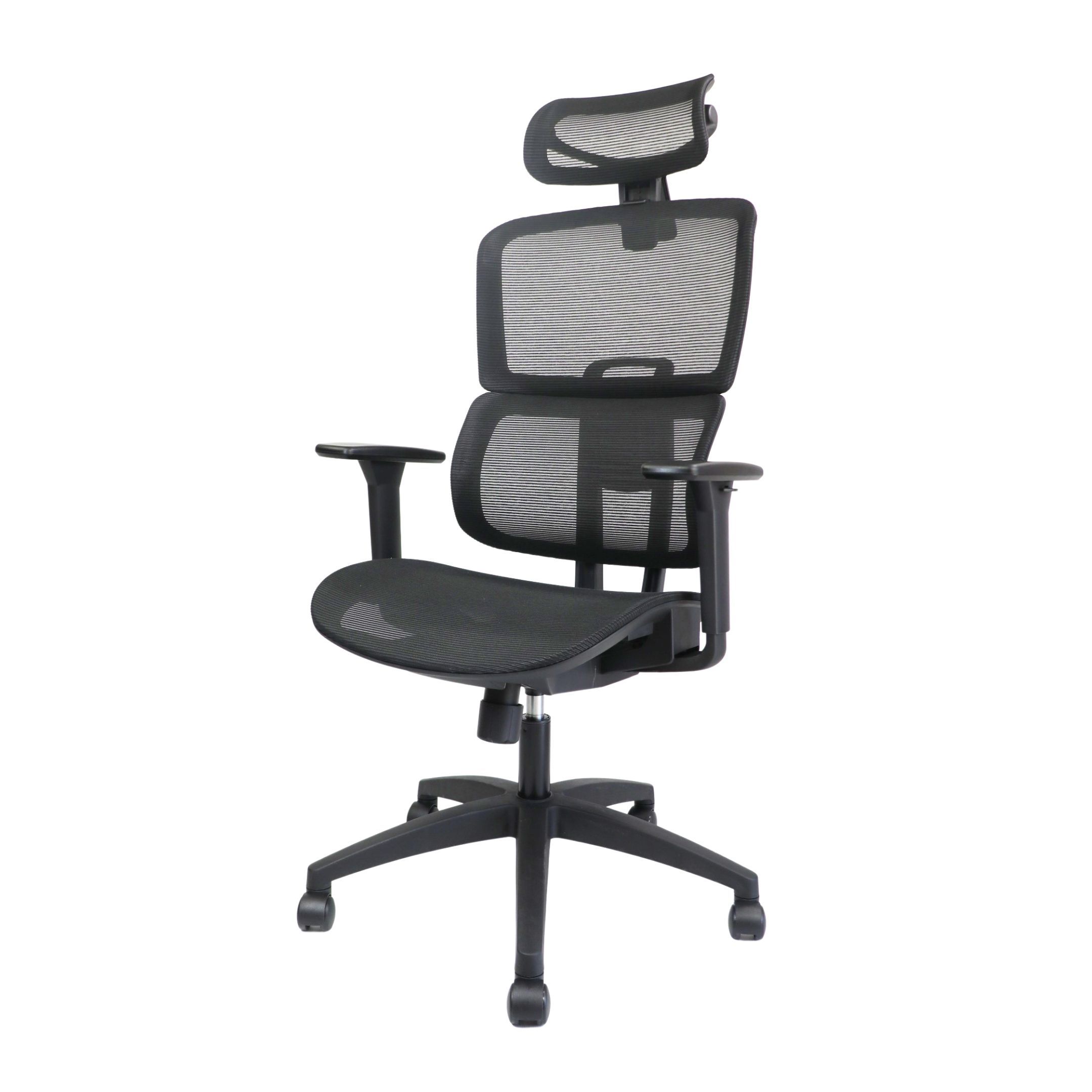 Chi Ergonomic Office Chair - Isisu