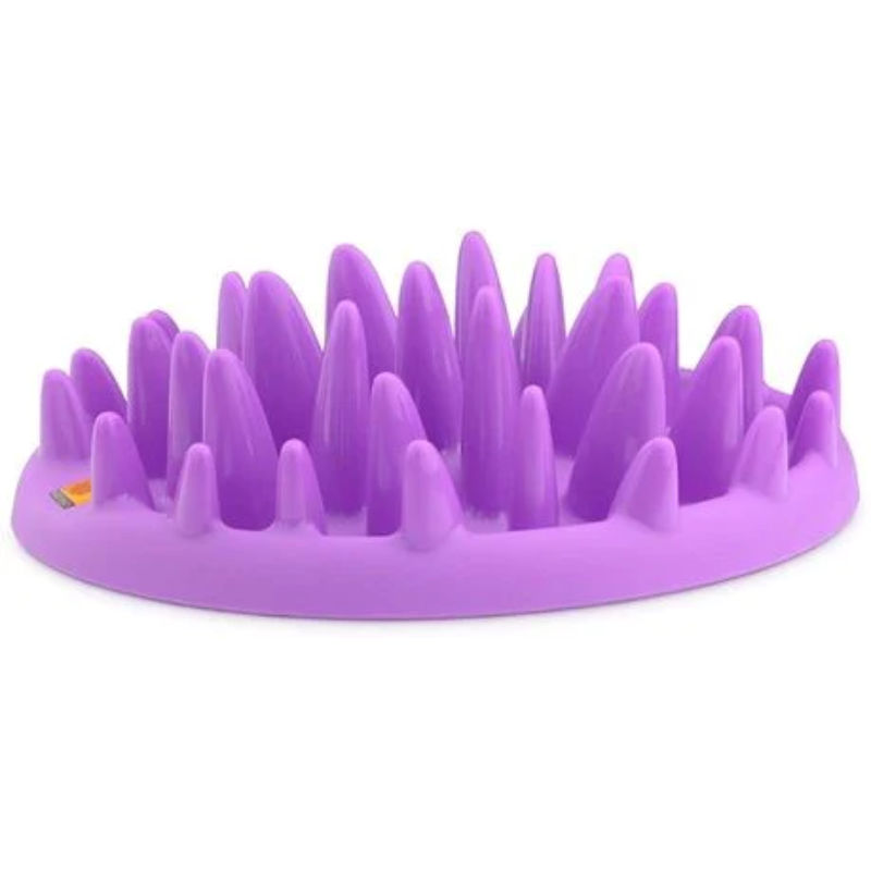 Rex - Slow Feeder - Purple