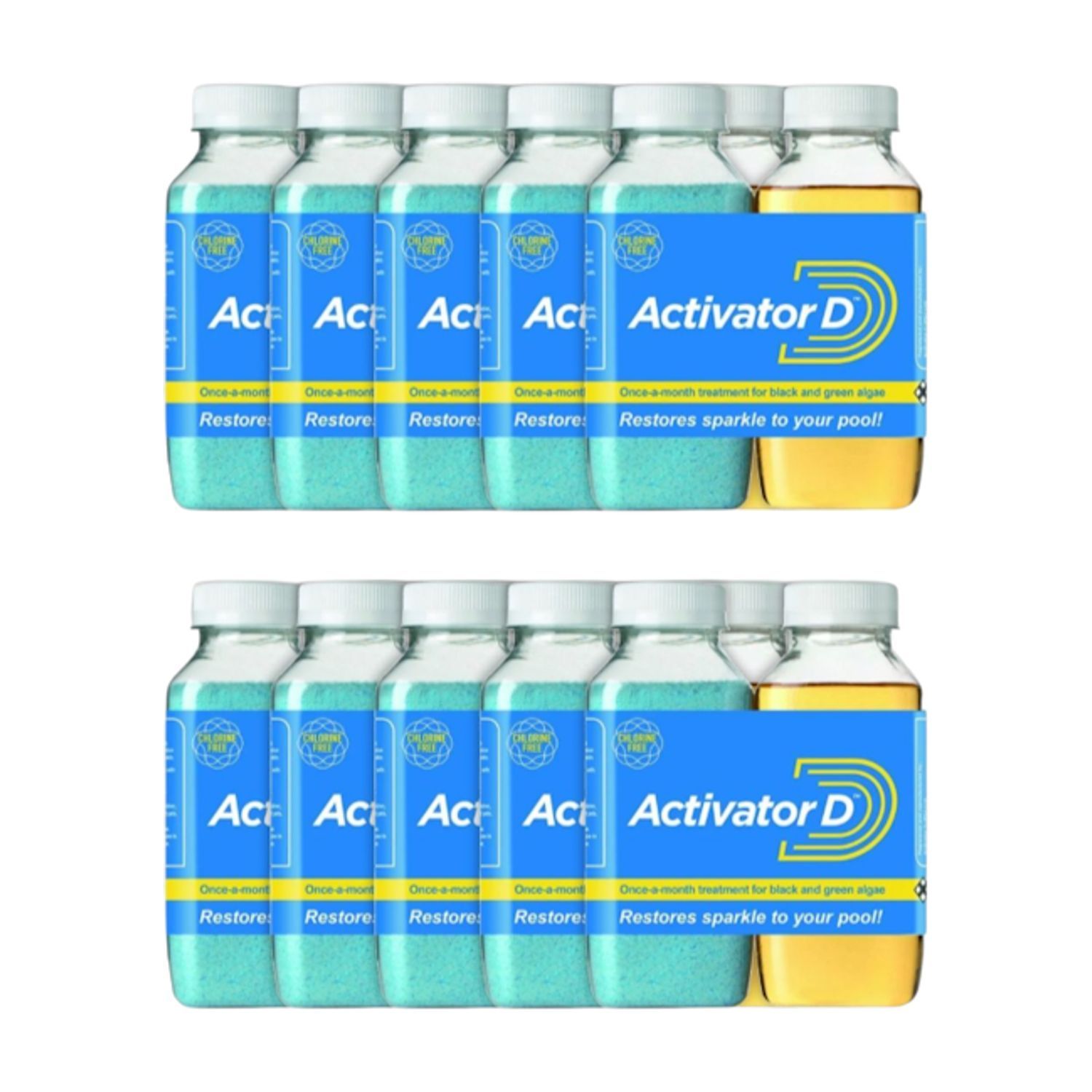 Activator D 10 Pack Monthly Pool Treatment