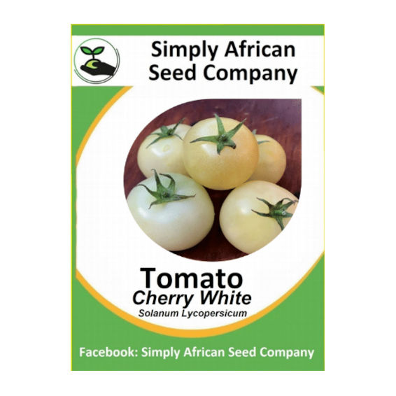 Tomato Cherry White 30's