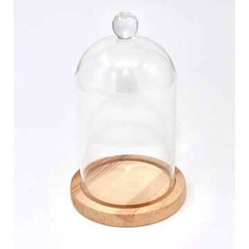 Glass Dome Display